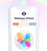 Image of Wellness Wheel