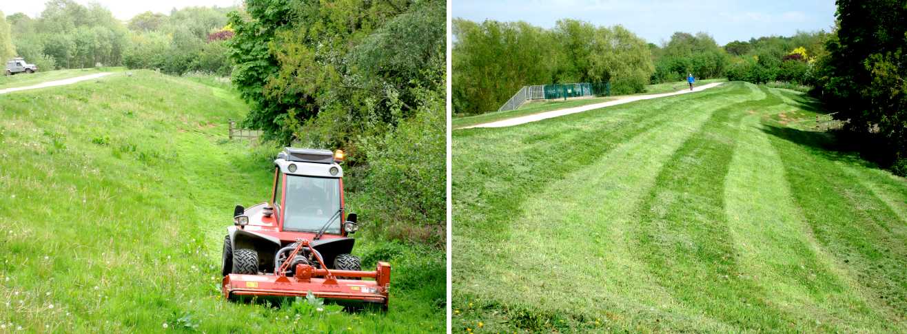 Dam banks are mown.