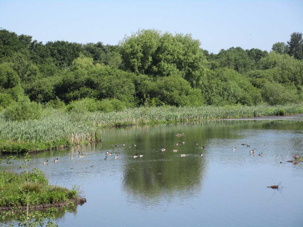 The lake in summer.