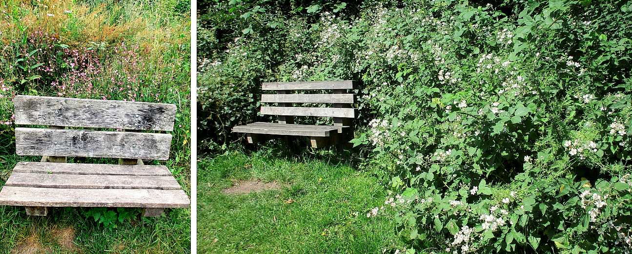 Seats beside the paths.