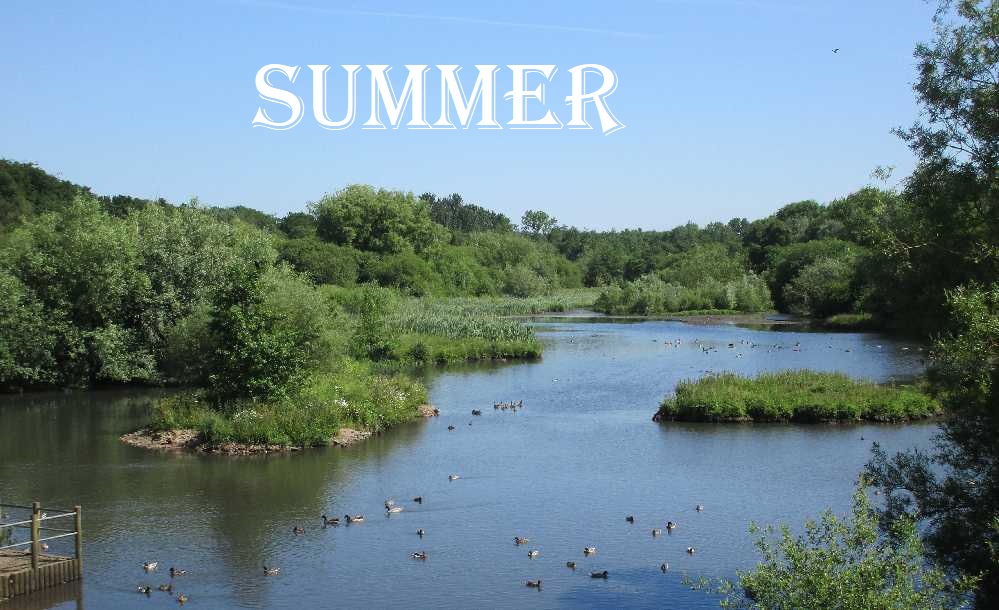Summer heading picture