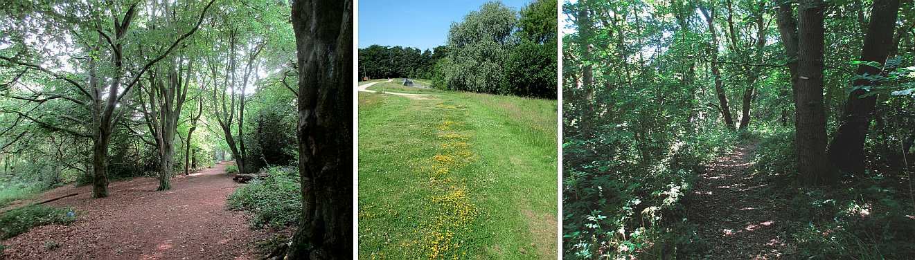 Walk options in summertime.