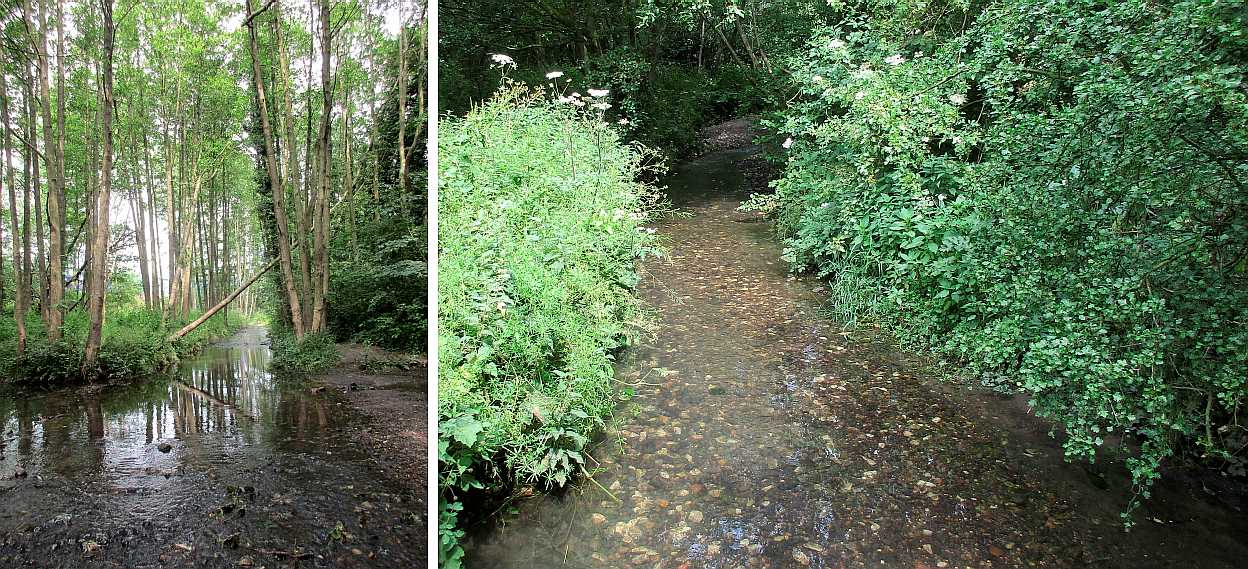 Streams flow all summer.