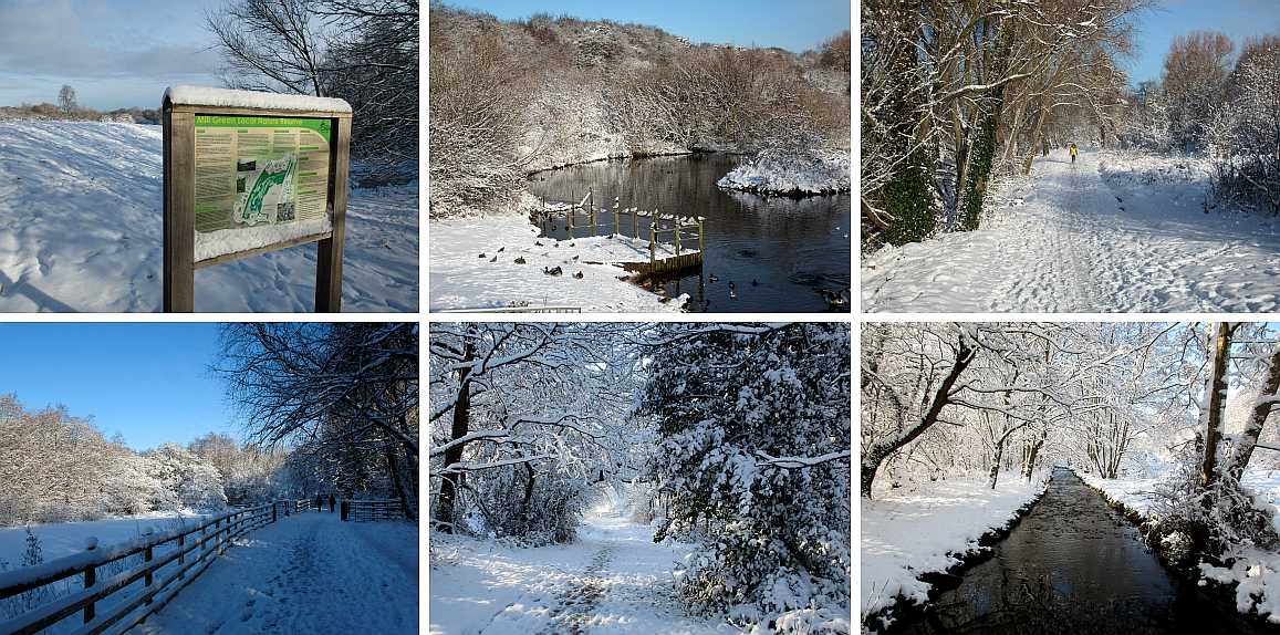 Snow with sunshine, December 2017.