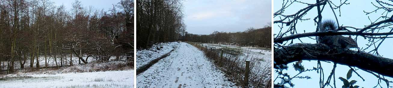 Snowy conditions.