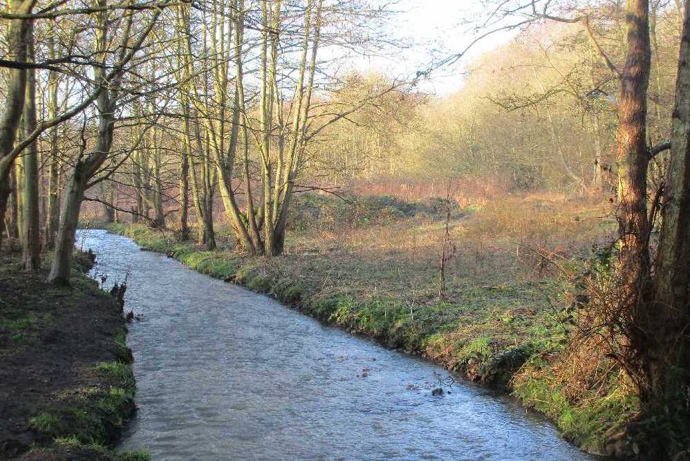 Ridings Brook.