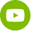 YouTube logo in green
