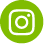 Instgram logo in green