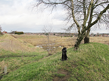 Cannock Stadium site
