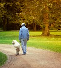 person walking a dog in the park