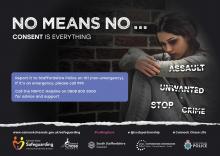 Harmful Sexual behaviour Harmful Sexual behaviour
