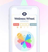 Image of Wellness Wheel Image of Wellness Wheel