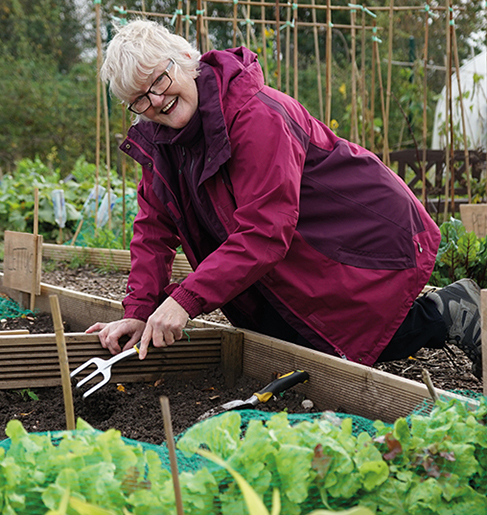 Allotment