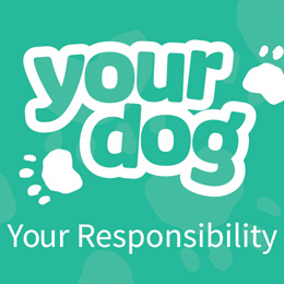 Your dog your responsibility