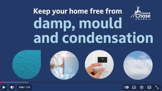 Damp, mould and condensation video