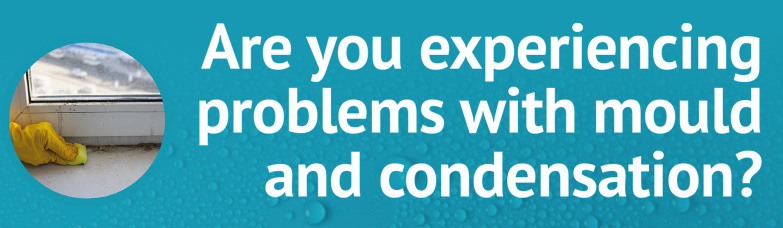 damp and mould