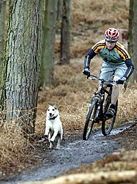 mountain biker and dog